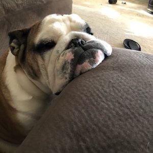 Meet your Posher, Alexander